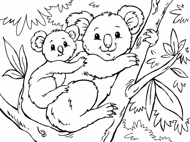 Koala coloring page - Coloring Pages 4 U