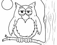 Owl