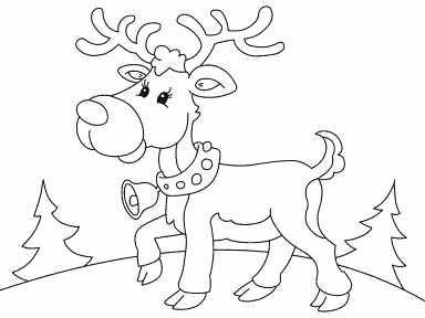 Reindeer