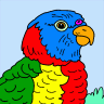 Bird coloring book