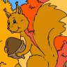 Forest Animal coloring book