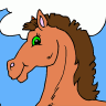 Horse coloring book