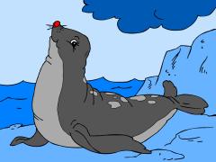seaanimal_seal