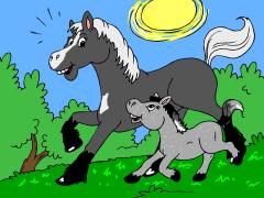 horse_horseandfoal