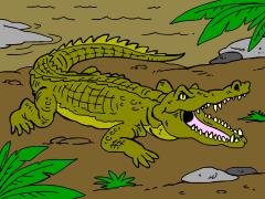 africananimal_crocodile