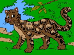asiananimal_cloudedleopard