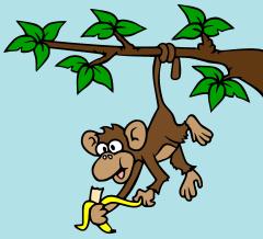 africananimal_monkey