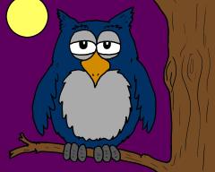 bird_owl