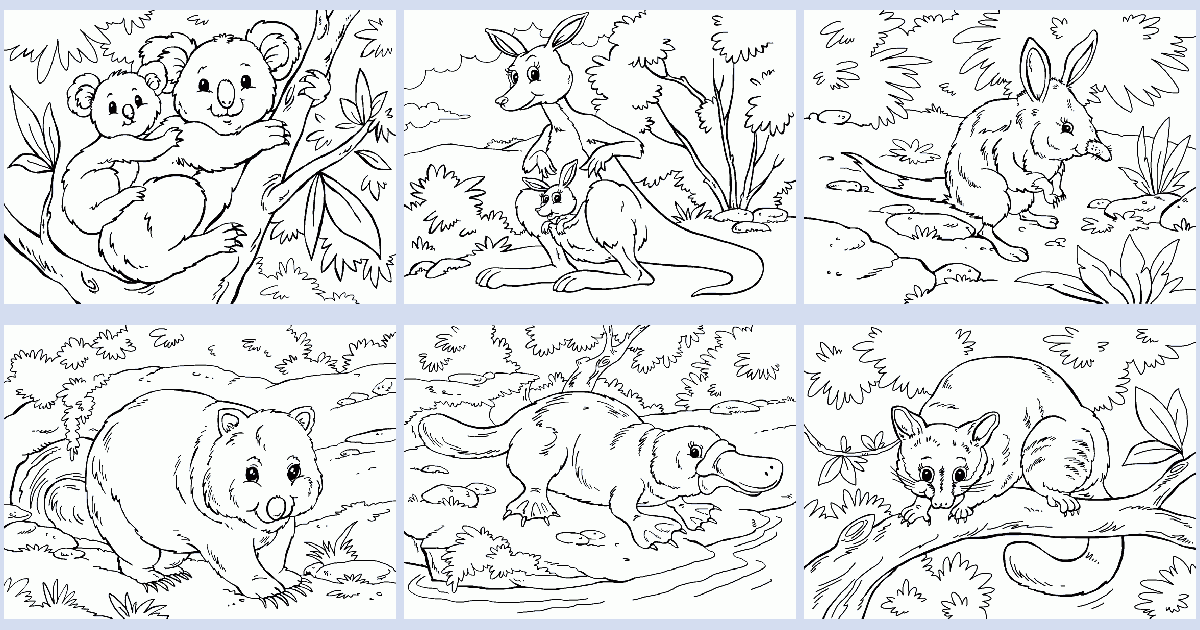 Australian coloring book - Pages 4 U
