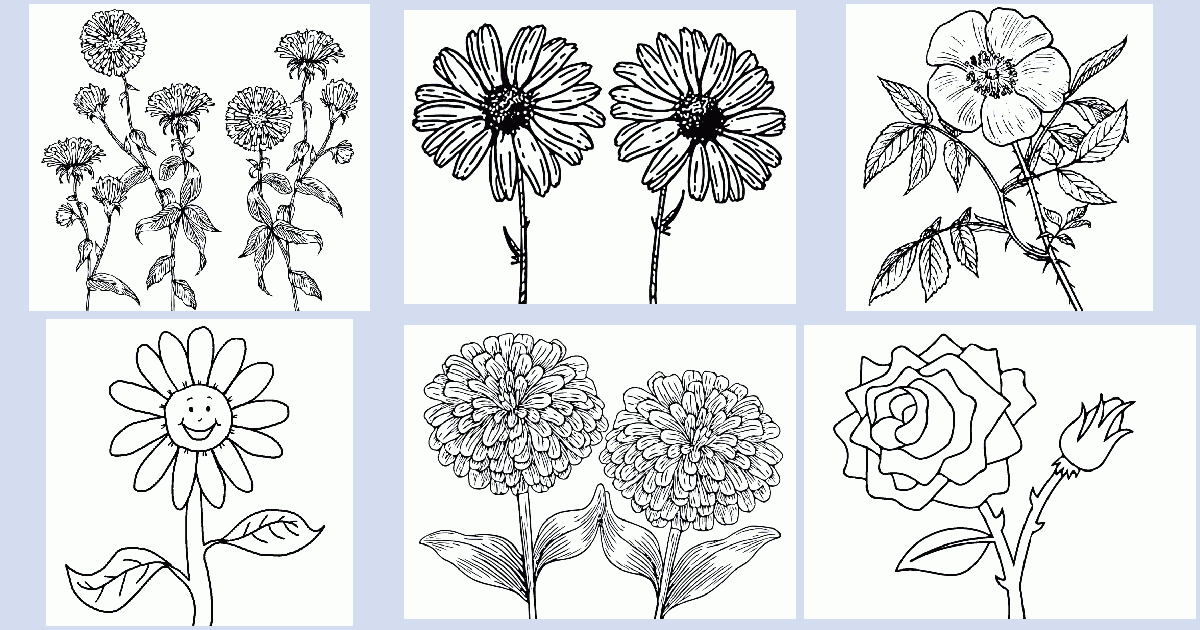 Flower coloring book Coloring Pages 4 U