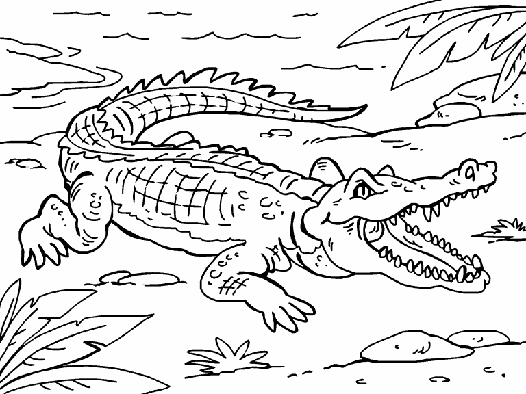 dive-into-joyful-crocodile-coloring-page-prone-to-clarify-your
