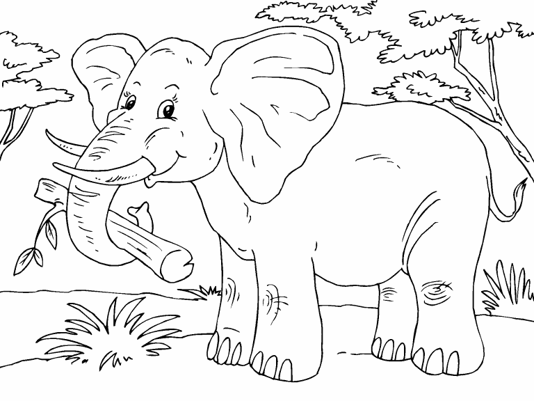 Elephant