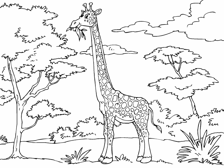 Giraffe Eating Coloring Page