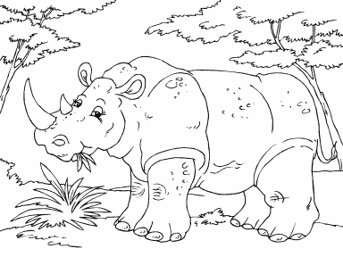 Rhinoceros