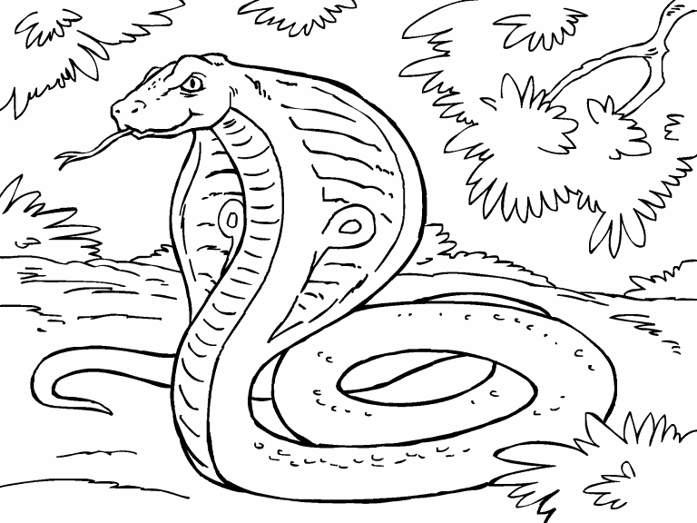 egyptian cobra coloring pages