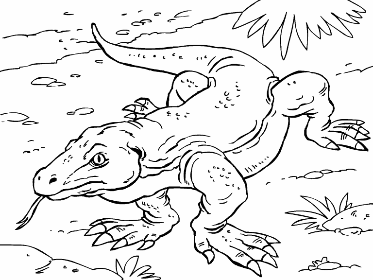 Komodo Dragon coloring page - Coloring Pages 4 U