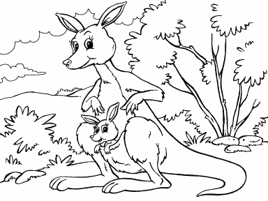 Kangaroo