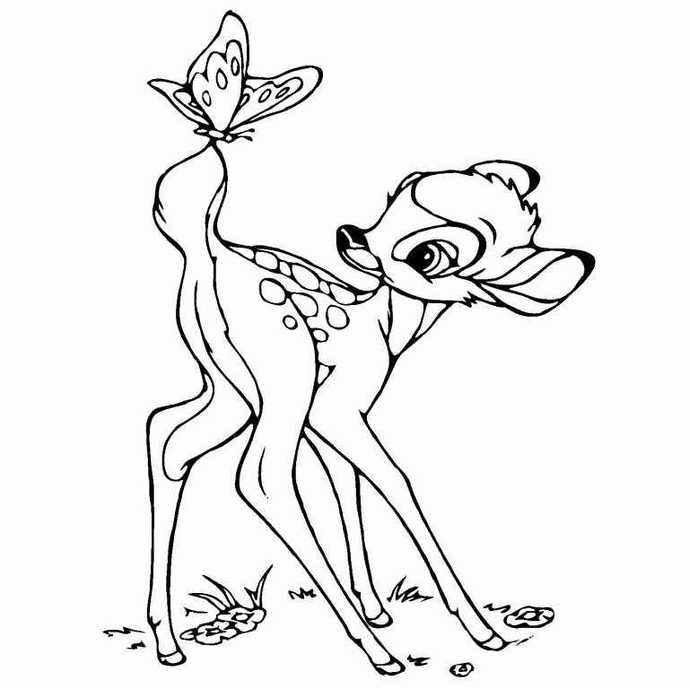 Bambi and Butterfly coloring page - Coloring Pages 4 U