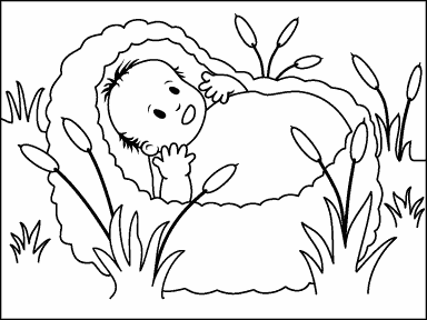 Baby in a Basket