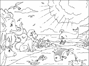 Creation