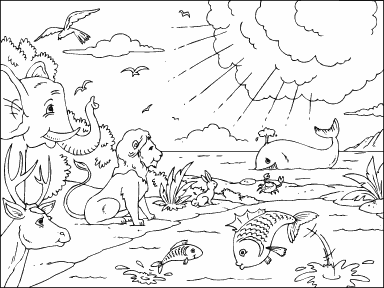 Creation