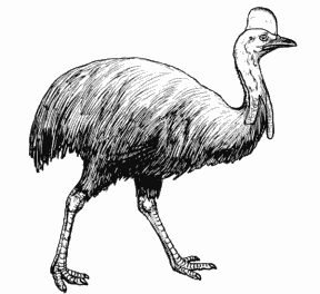 Cassowary