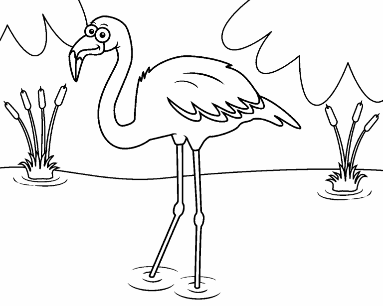 Flamingo coloring page - Coloring Pages 4 U