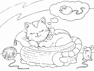 Cat Dreaming