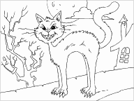 Scary Cat