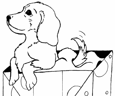 Puppy Gift