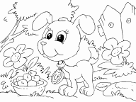 Puppy