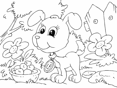 Puppy
