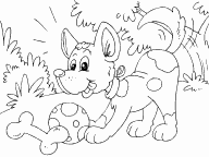 Puppy with Bone