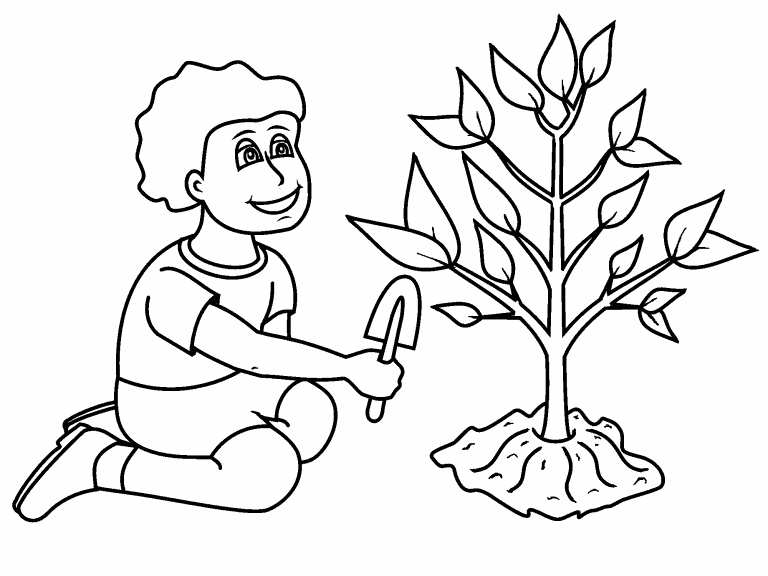 Plant a Tree coloring page - Coloring Pages 4 U