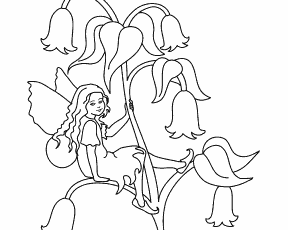 Bluebell Fairy