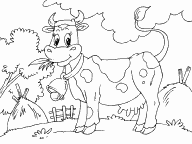 Cow