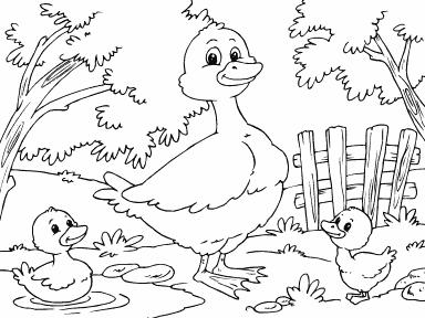 Duck and Ducklings