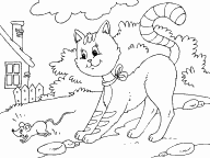 Farm Cat