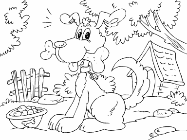 Farm Dog