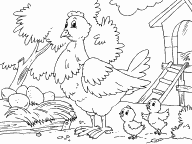 Hen and Chicks