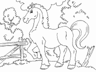 Horse