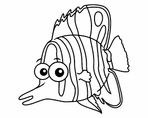 Butterfly fish