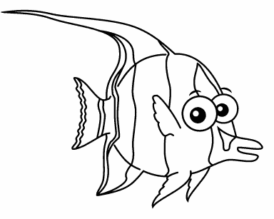 Moorish Idol