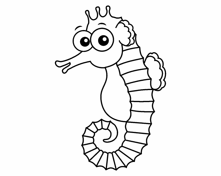 Seahorse