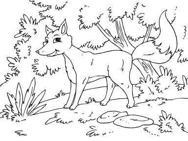 Fox