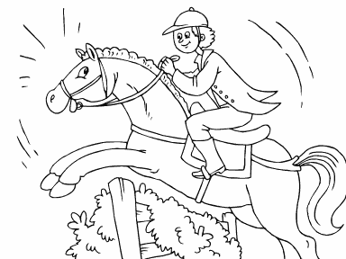 Horse Jumping