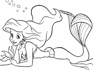 Ariel