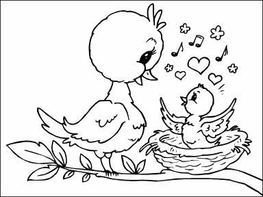 Chick and Mother Bird