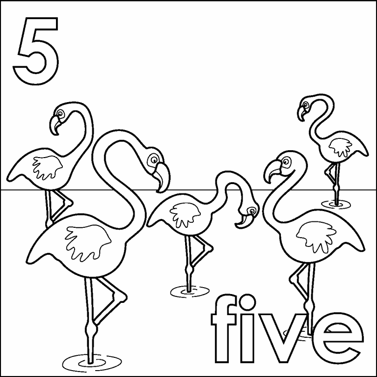 Five Flamingos