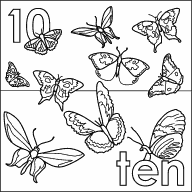 Ten Butterflies